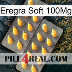 Eregra Soft 100Mg cialis2